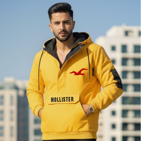 Streetwear Pullover (Holli-ster Falcon)