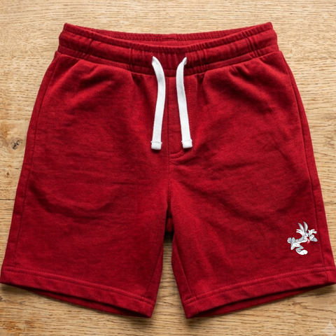 Premium Shorts For Kids